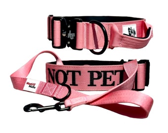 2" Heavy Duty Tactical Nylon Quick Release Dog Collar and Leash Set