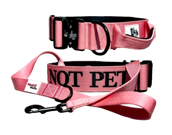 Dog Collars & Leashes - Pet Supply Mafia