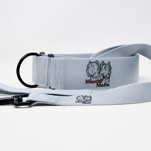 2&quot; Light Tactical Nylon Martingale Dog Collar and Leash Set
