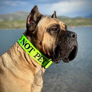 2&quot; Heavy Duty Tactical Nylon Quick Release Dog Collar and Leash Set