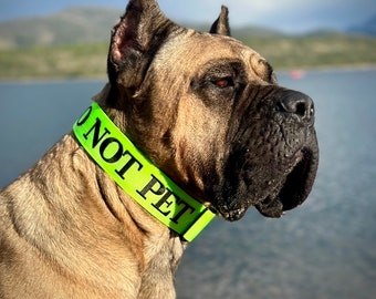 2" Heavy Duty Tactical Nylon Quick Release Dog Collar and Leash Set
