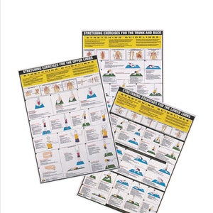 Pósteres de ejercicios de estiramiento / Gráficos de fitness para la pared / Todos los grupos musculares