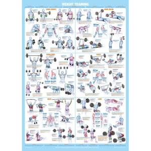 Bodybuilding Poster, Weight Training Exercise Chart