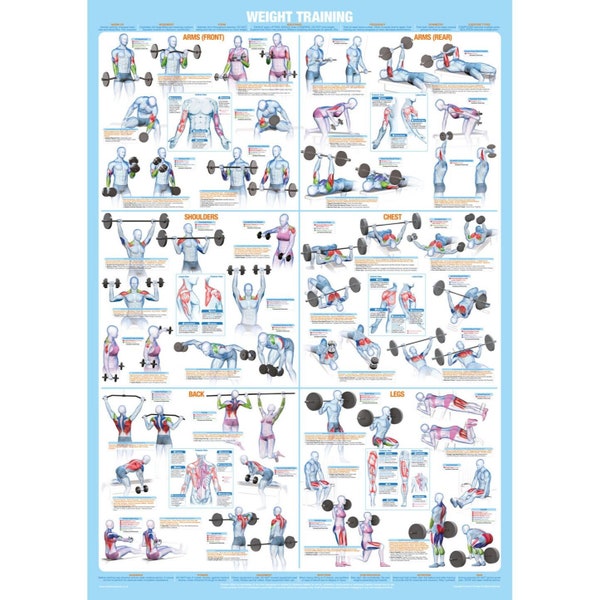 Affiche de musculation, tableau d'exercices de musculation