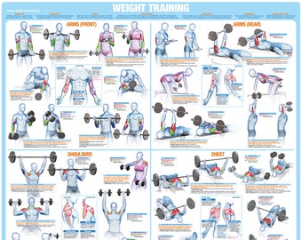 Weight Training Exercise Chart