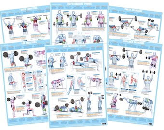 Weight Training, Bodybuilding Exercise Posters