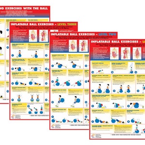 Pósteres de entrenamiento con pelota de ejercicio / Gráficos de entrenamiento con pelota suiza / Pósteres de fitness