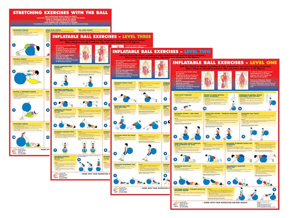 STRETCHING EXERCISES Professional Fitness Gym Wall Charts 3 POSTER SET byChartex
