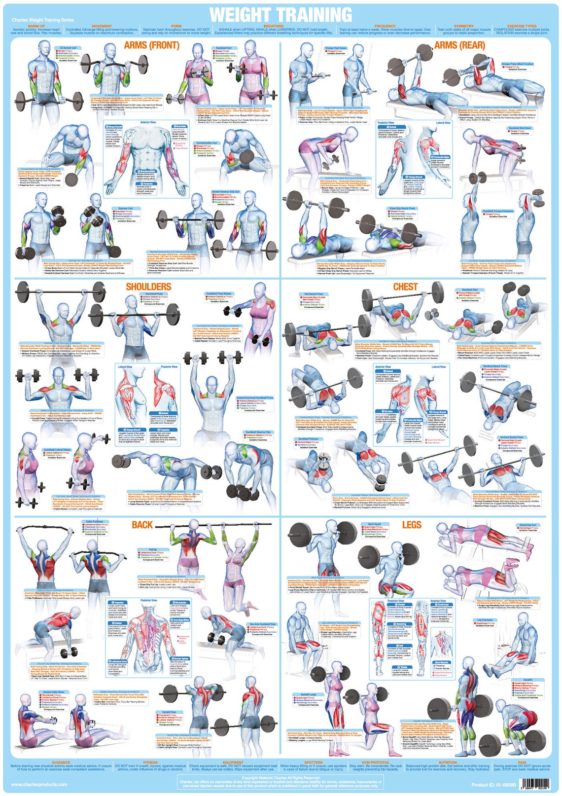 Weight Training Bodybuilding Poster Barbell Dumbbell - Etsy