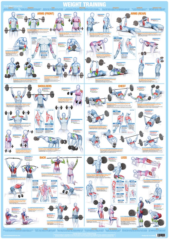 Dumbbell Weight Training Chart