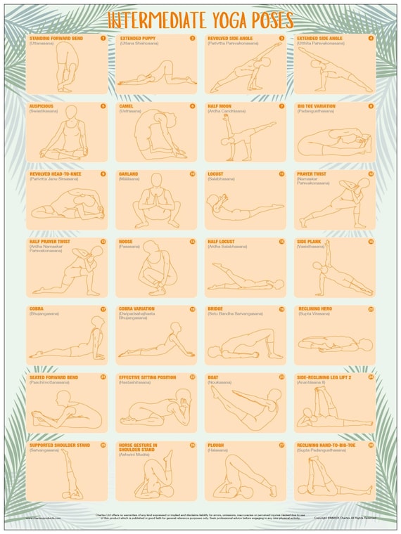 Amazon.com : Infinity Strap Large Yoga Poster : Sports & Outdoors