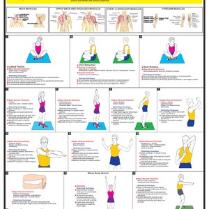 Puede incluir: Una gu&iacute;a ilustrada colorida para ejercicios de estiramiento de las extremidades superiores. La gu&iacute;a incluye ilustraciones de personas realizando estiramientos para los m&uacute;sculos del cuello, la parte superior de la espalda y los hombros, el pecho y los hombros, el antebrazo y todo el cuerpo. La gu&iacute;a tambi&eacute;n incluye instrucciones para cada estiramiento y los m&uacute;sculos que se estiran.
