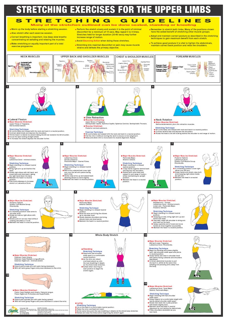 Puede incluir: Una gu&iacute;a ilustrada colorida para ejercicios de estiramiento de las extremidades superiores. La gu&iacute;a incluye ilustraciones de personas realizando estiramientos para los m&uacute;sculos del cuello, la parte superior de la espalda y los hombros, el pecho y los hombros, el antebrazo y todo el cuerpo. La gu&iacute;a tambi&eacute;n incluye instrucciones para cada estiramiento y los m&uacute;sculos que se estiran.