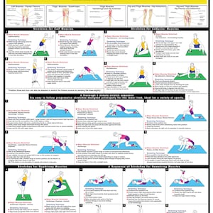 Puede incluir: Una gu&iacute;a ilustrada colorida para ejercicios de estiramiento de las extremidades inferiores. La gu&iacute;a incluye diagramas de diferentes estiramientos para los m&uacute;sculos de la pantorrilla, el aductor, el cu&aacute;driceps y los isquiotibiales. El texto incluye instrucciones para cada estiramiento y consejos para una t&eacute;cnica adecuada.