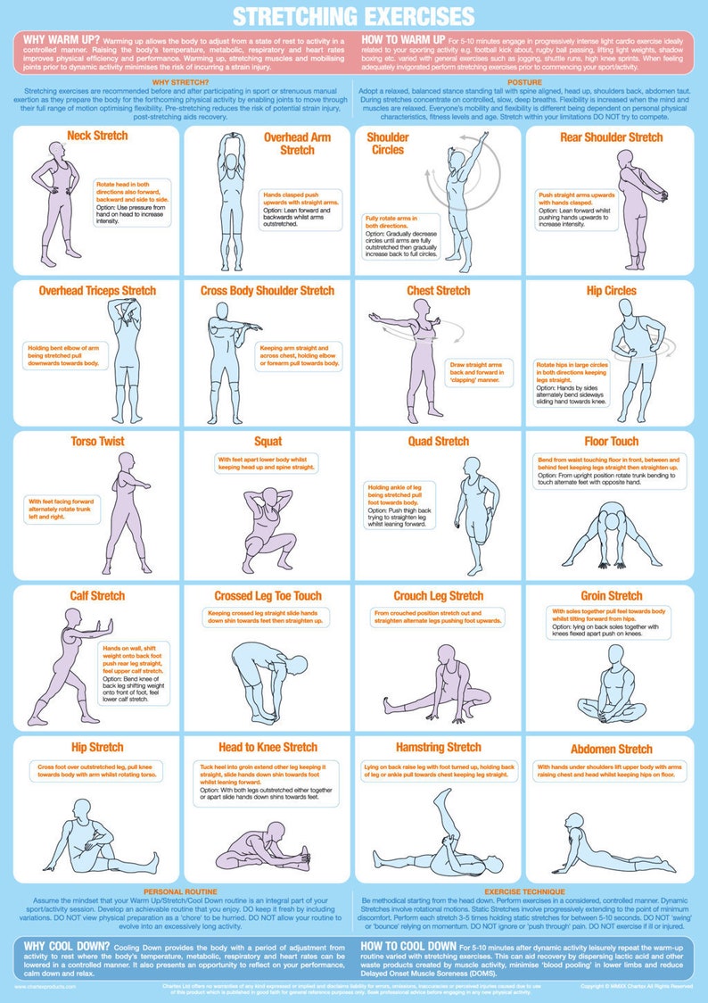 May include: A colorful infographic with illustrations of people performing various stretching exercises. The infographic includes the title "Stretching Exercises" and explains the benefits of warming up and cooling down before and after exercise.
