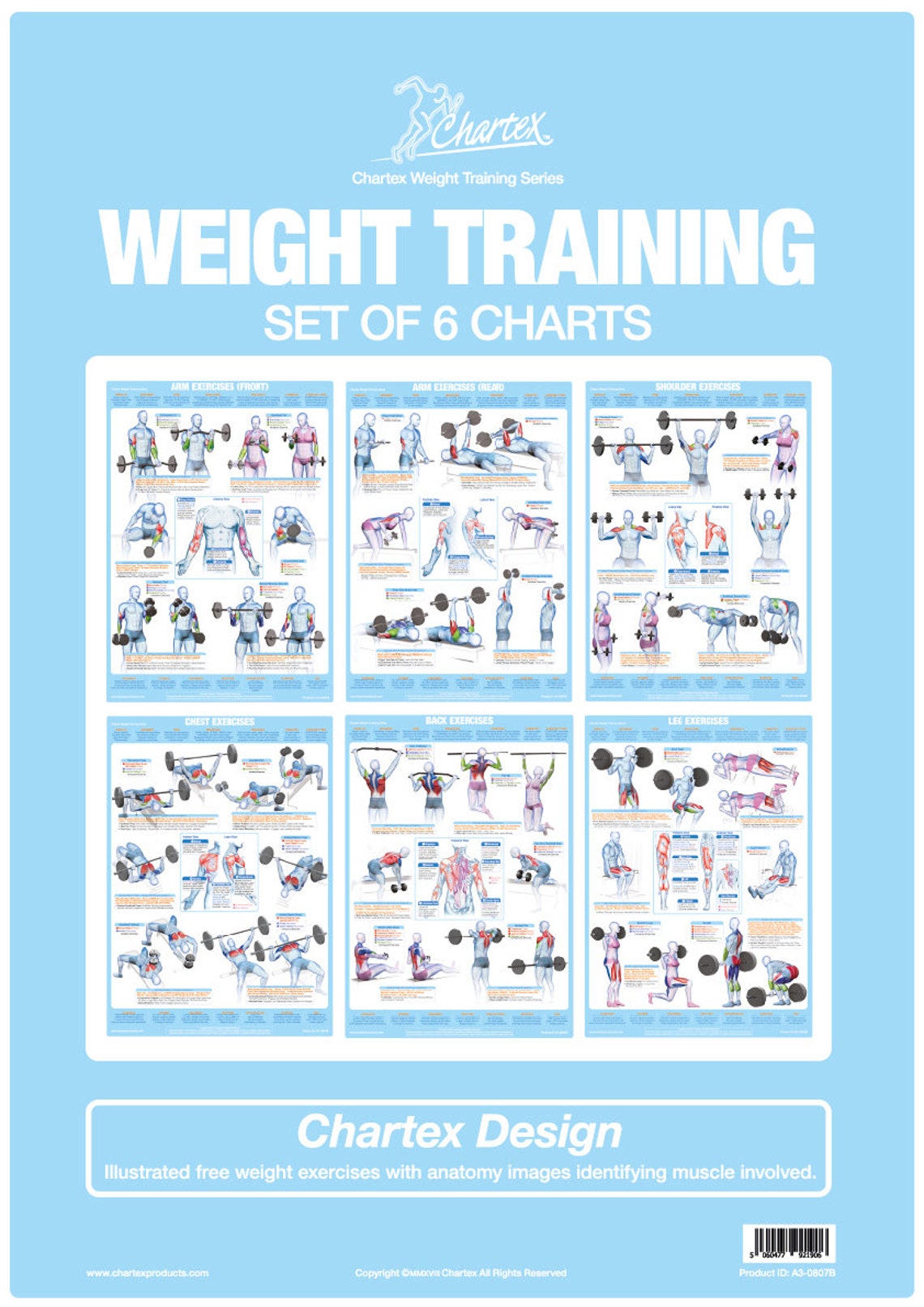 Bodybuilding, Weight Training Exercise Posters Set of 6, Barbell and Dumbbell Training Charts Etsy