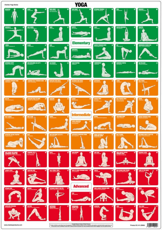 Gym Wall Chart