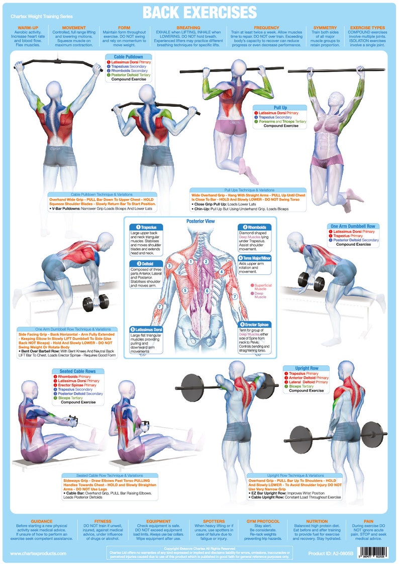 Bodybuilding Chest Exercises Chart