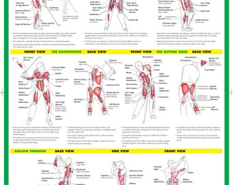 Cartaz de treinamento de swing de golfe | Quadro de instruções de golfe
