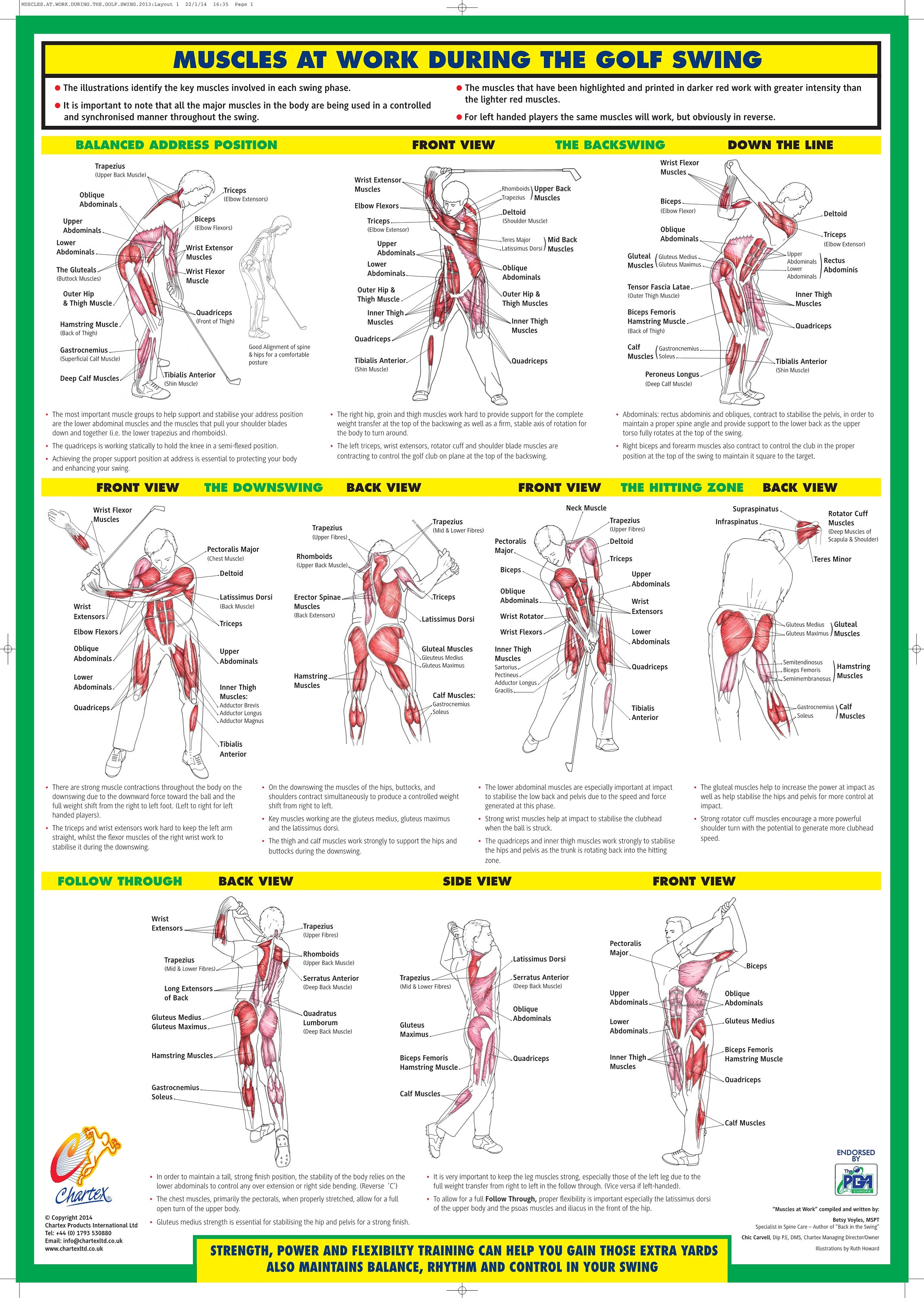 Golf Swing Training Poster Golf Instruction Chart