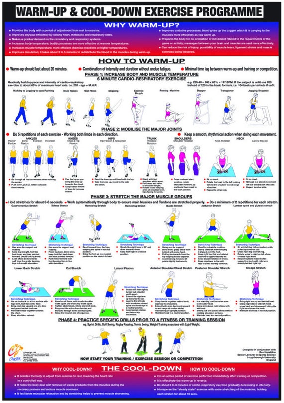 Warm up Cool Down Exercise Poster -  New Zealand