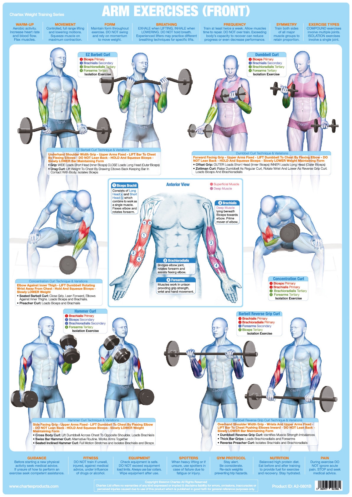 Gym workout exercise chart sale