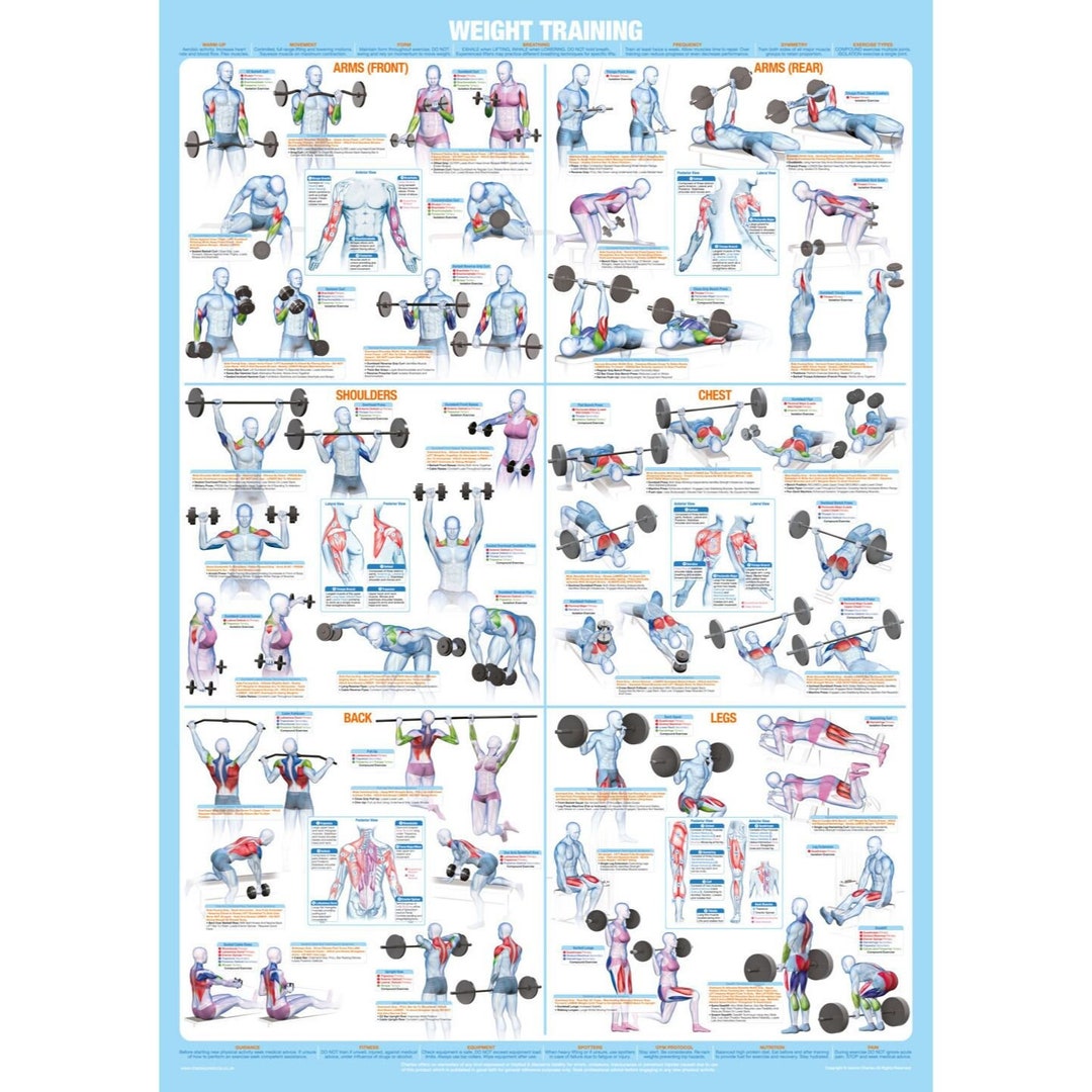 Bodybuilding Poster, Weight Training Exercise Chart 