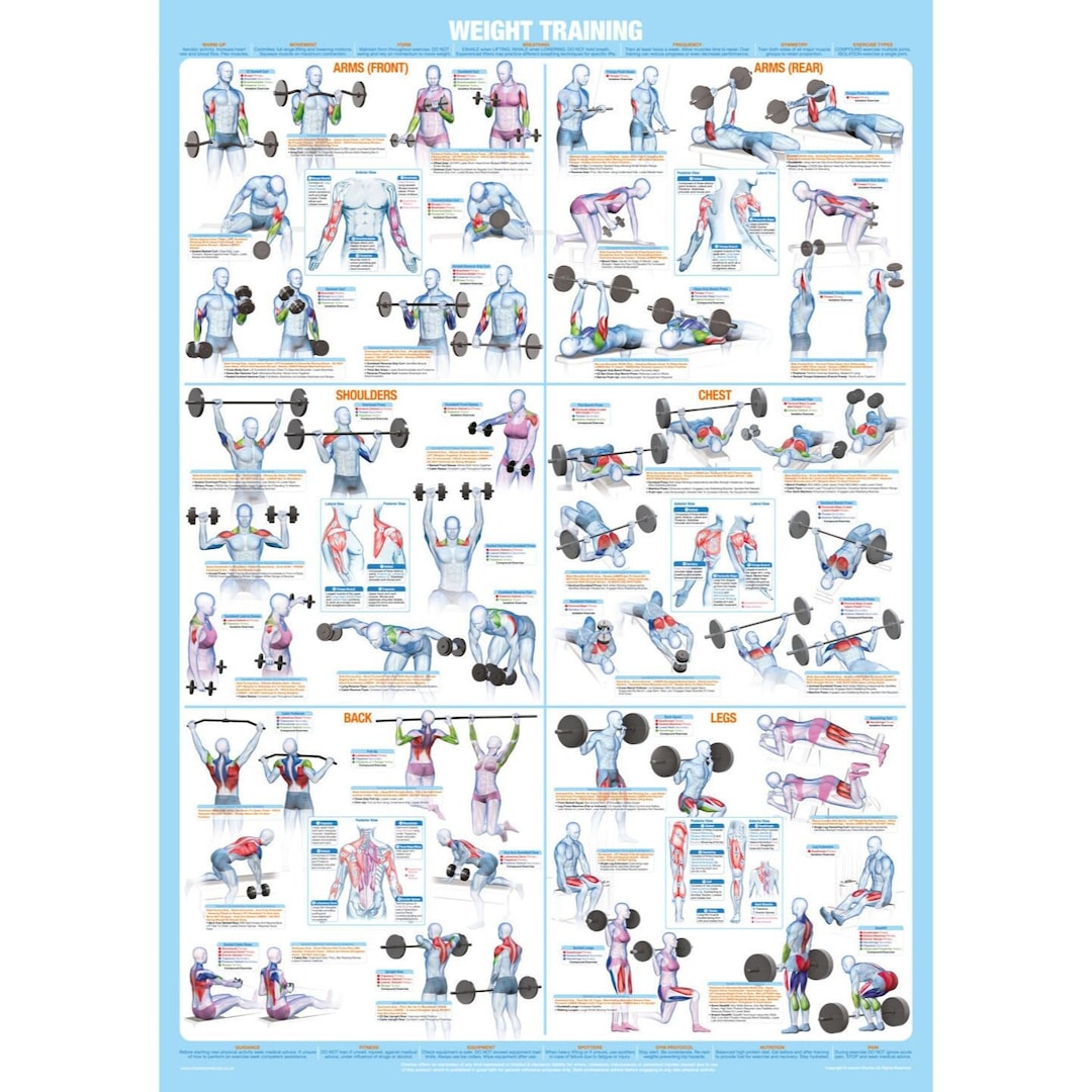 Bodybuilding Poster, Weight Training Exercise Chart 