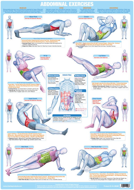 Core Plus Reformer Exercise Chart