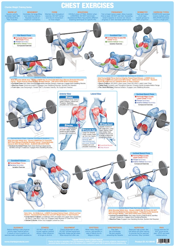 Weight Training Exercise Chart