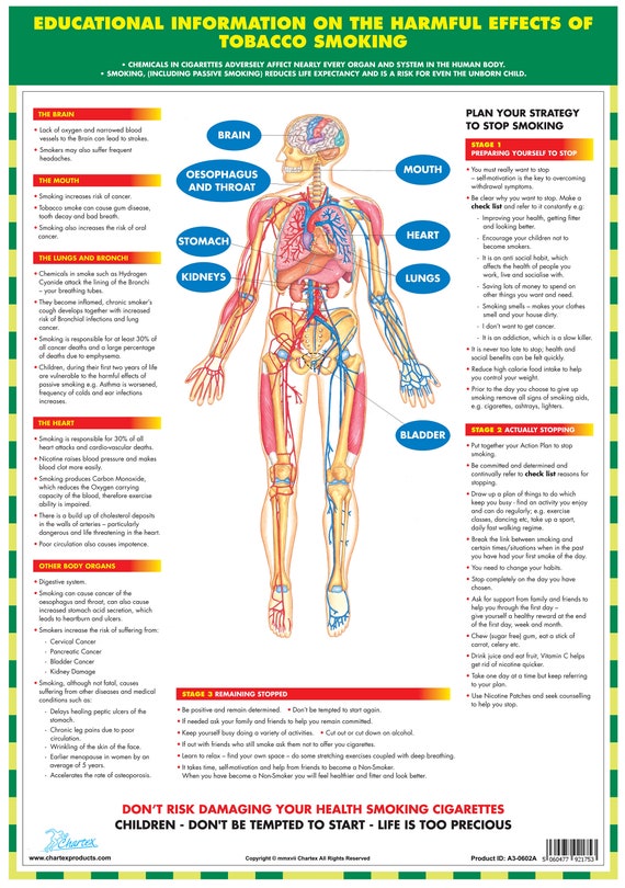 Effects Of Drugs On The Body Chart