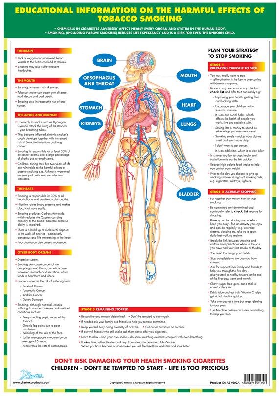 Effects Of Drugs On The Body Chart