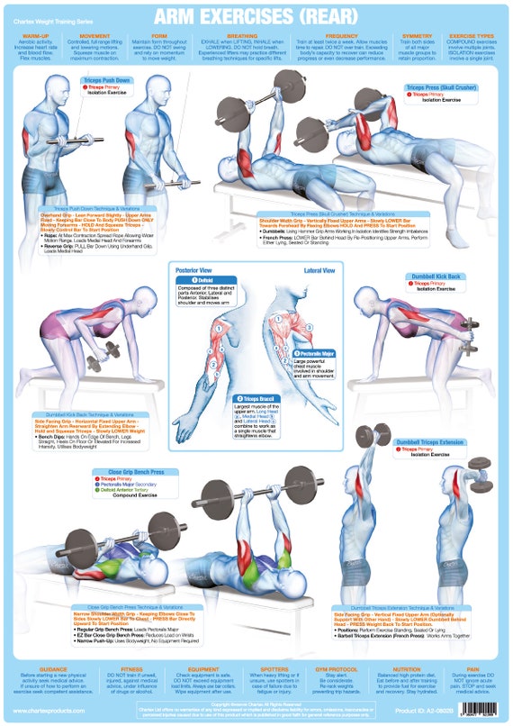 Bodybuilding Exercises Chart With Pictures