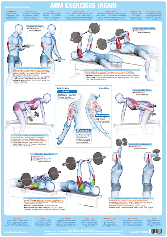 Bodybuilding Exercises Chart With Pictures