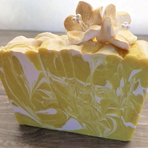 Lucuma Brazilian Fruit