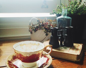 Deep Burgundy + Gold Bone China