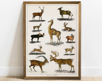 Antlered animals | Etsy