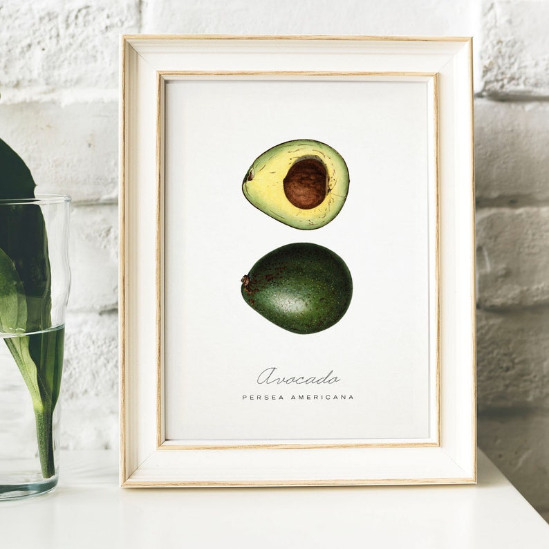 Avocado Print Vintage Kitchen Poster Wall Art Decor Avo Image 0