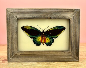 Vintage Indian Reverse Glass Painting of a Butterfly