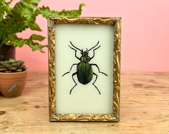 Vintage Indian Reverse Glass Painting of a Beetle, Insect
