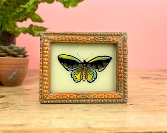 Vintage Indian Reverse Glass Painting of a Butterfly