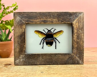 Vintage Indian Reverse Glass Painting of a Bee, Insect