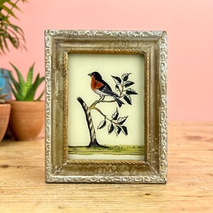 Vintage Indian Reverse Glass Painting of a Bird imagem 1