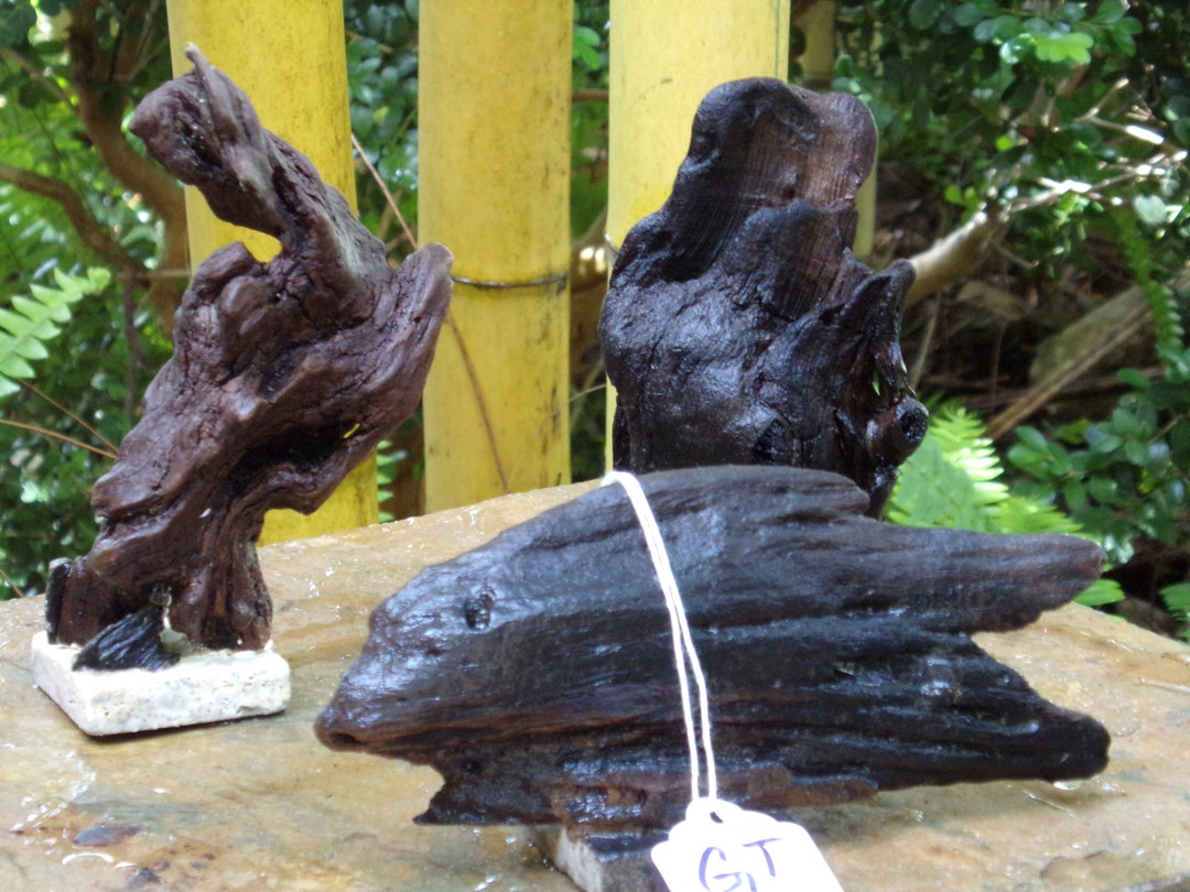 Aquarium/terrarium3 Piece Set/hardwood/ironwood/stone Etsy