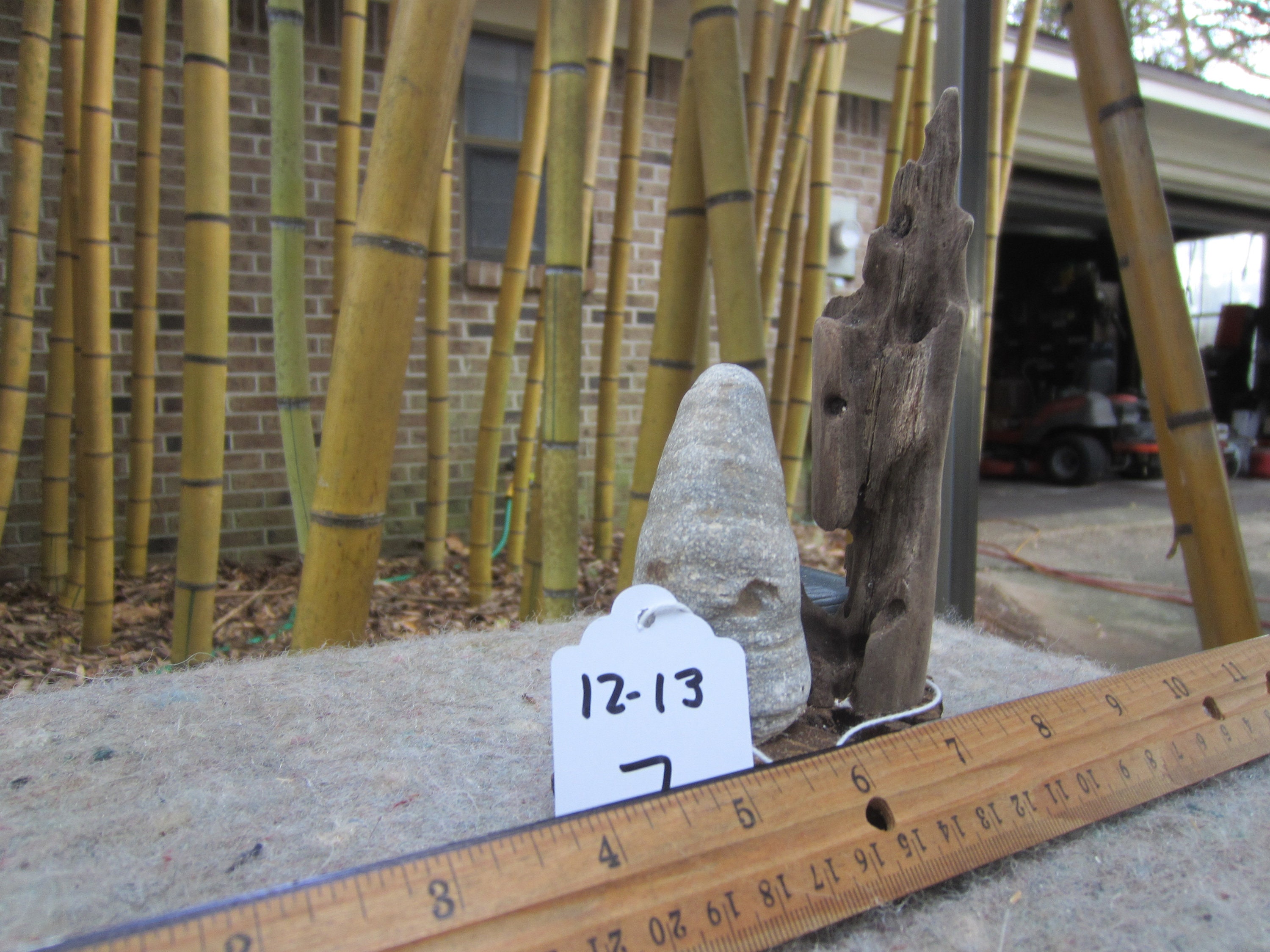 Natural Beautiful Ironwood Shark Tooth. Great for Aquarium Etsy