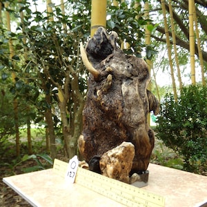 Driftwood/Sinking Resin Base Arrangement-Cave Rock, Driftwood/Aquarium-Terrarium Safe.
