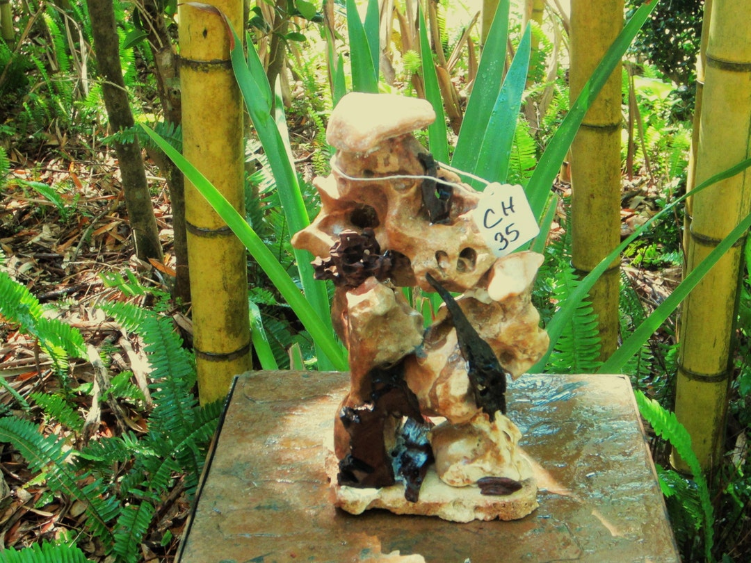 Cave Rock/limestone/ironwood/hardwood/aquarium Terrarium/sinking Stone