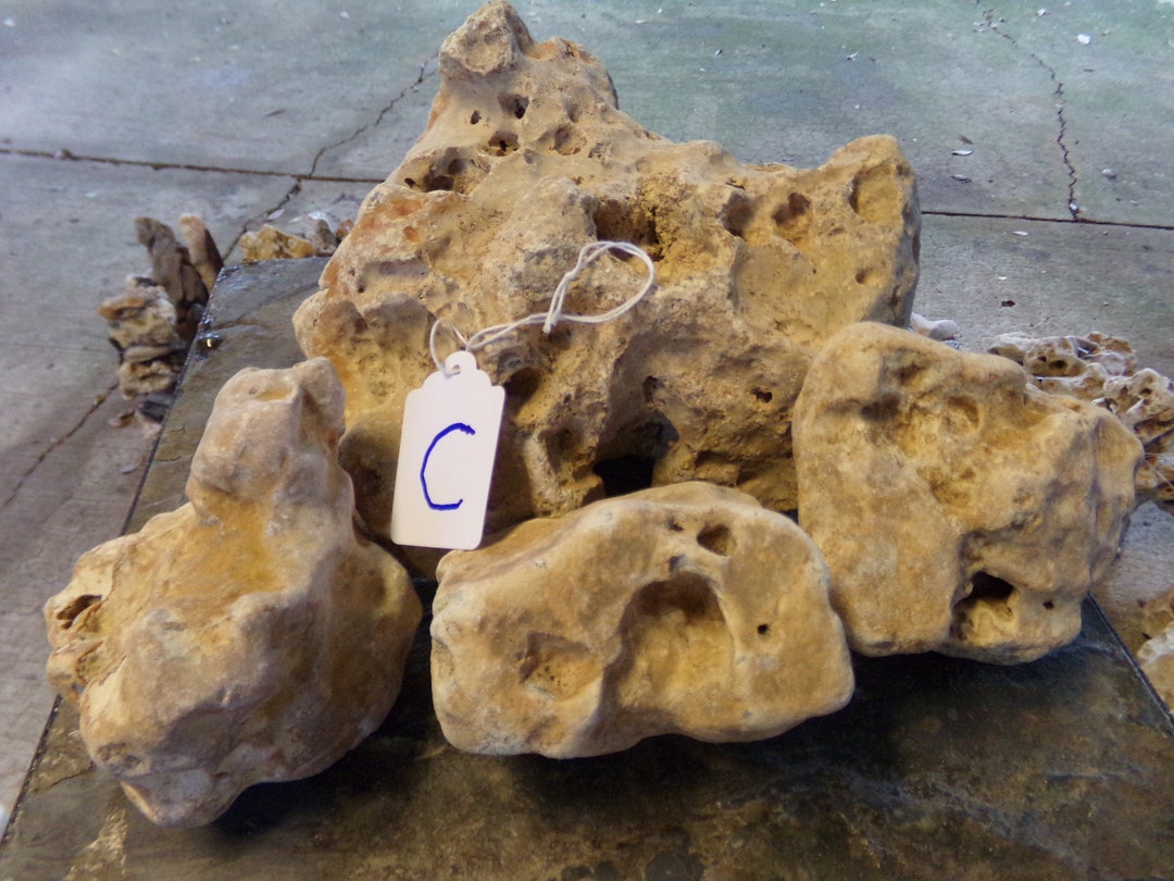 Cave Rock Bundle Set / Fossilized FL Limestone / Aquarium Etsy