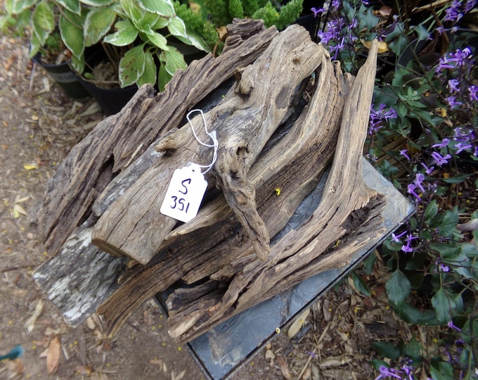 Primitive Red Oak Driftwood Air Plant Holder, Rustic Terrarium Decor (5 ...
