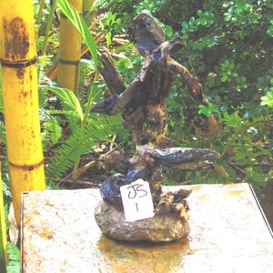 Driftwood Bonsai Tree: Aquarium & Terrarium Safe Art - Florida Ironwood